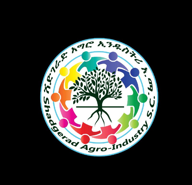 Partner 6